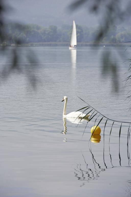 Bora Hotsparesort Hotel Radolfzell am Bodensee